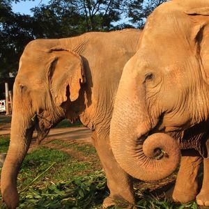 Meet your Posher, Lesley